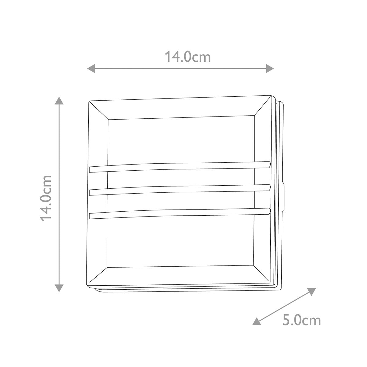 Egil 1 Light Wall/Ceiling Lantern 1
