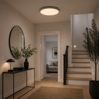 White bathroom flush ceiling light in modern hallway