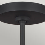 Asher 5-Light Pendant (Midnight Black & Gold Leaf)