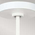 Asher 5-Light Pendant (Matte White & Gold Leaf)