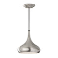 Beso 1-Light Medium Pendant (Brushed Steel)