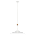 Darwin 1 Light Pendant - Matte White
