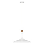 Darwin 1 Light Pendant - Matte White