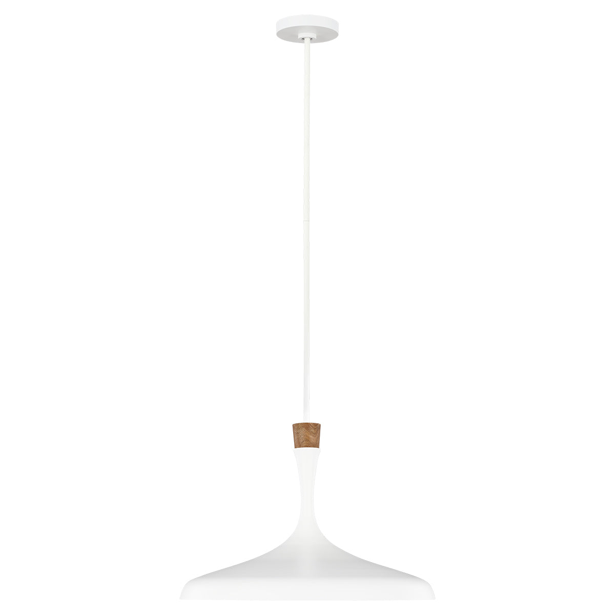 Darwin 1 Light Pendant - Matte White