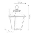 Galena 1 Light Small Wall Lantern