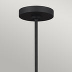 Joan 5 Light Chandelier - Midnight Black & Burnished Brass