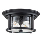 Merrill 2 Light Flush