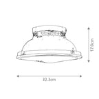 Amelia 2lt Flush Light 1