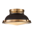 Amelia 2lt Flush Light 3
