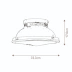 Amelia 2lt Flush Light 3
