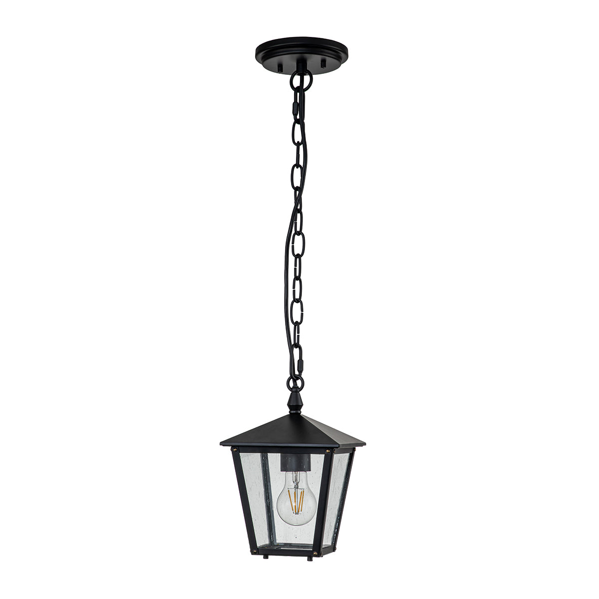 Huntersfield 1-Light Outdoor Hanging Lantern (Black Finish)