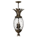 Plantation 4-Light Pendant Light (Pearl Bronze Finish)