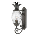 Plantation 1lt Medium Wall Lantern 1