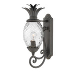 Plantation 1lt Medium Wall Lantern 1