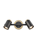Hollywood 2lt Brass Spot