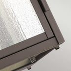 Carlson 2 Light Wall Lantern