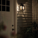 Carlson 1 Light Wall Lantern