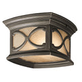 Franceasi 2 Light Flush Mount