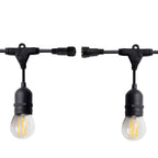 Festoon 15 light