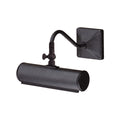 Black Adjustable Picture Light