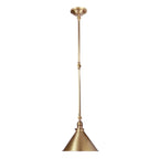 Provence Adjustable Wall/Pendant Light (Aged Brass)