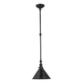 Provence Adjustable Wall/Pendant Light (Old Bronze)