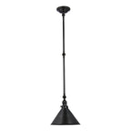 Provence Adjustable Wall/Pendant Light (Old Bronze)