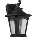 Bedford 1-Light Medium Outdoor Wall Lantern (Black)