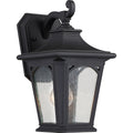 Bedford 1-Light Small Outdoor Wall Lantern (Mystic Black)