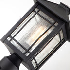 Cedar Point 1-Light Black Pedestal (Seedy Glass)