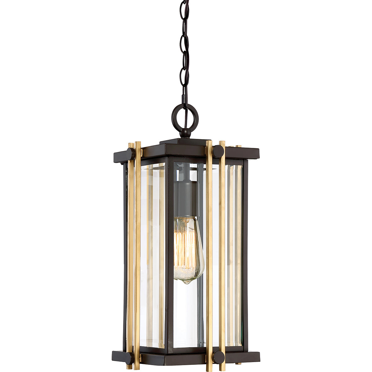 Goldenrod 1-Light Medium Chain Lantern (Western Bronze with Customizable Accents)