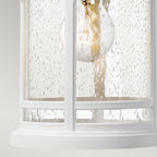 Marblehead 1-Light Medium Outdoor Wall Lantern (White)