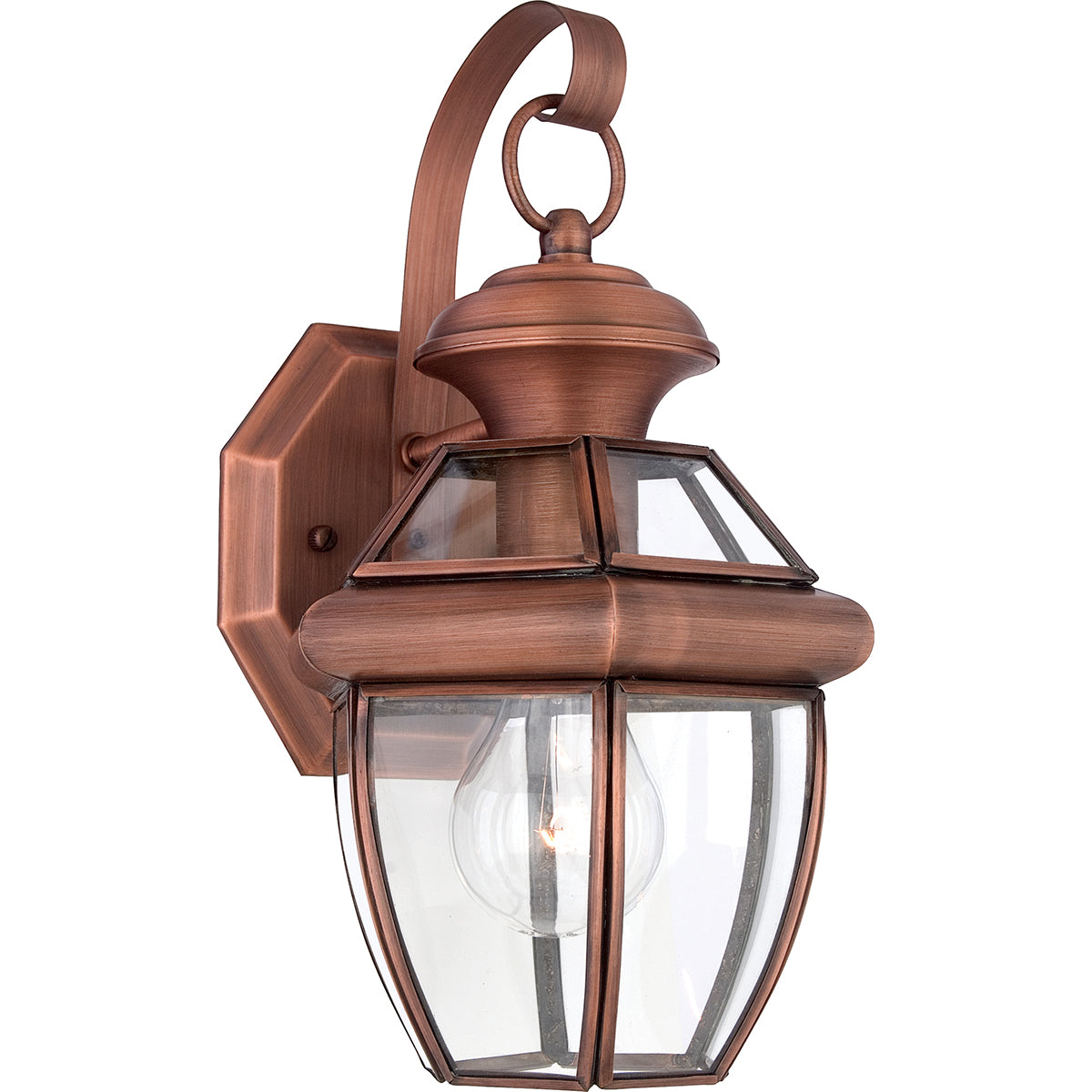 Newbury 1-Light Small Outdoor Wall Lantern (Aged Copper)
