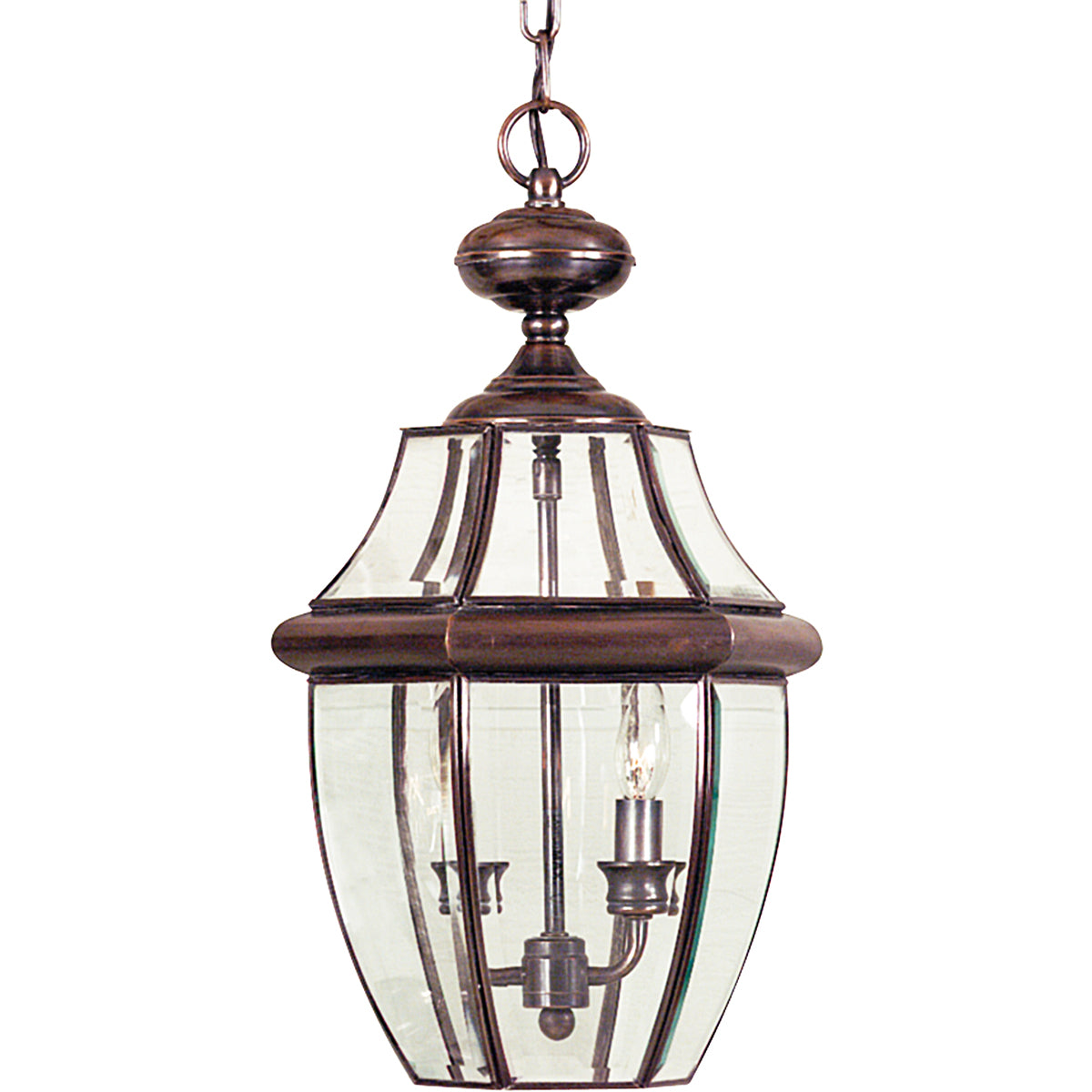 Newbury 2-Light Large Chain Lantern (Aged Copper for Outdoor Appeal)