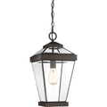 Ravine Large Outdoor Lantern (Western Bronze)
