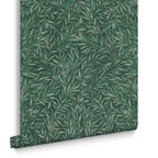 Salix Leaves Green