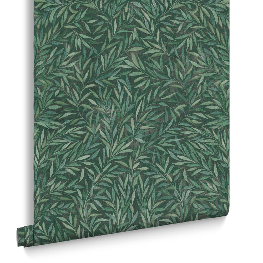 Salix Leaves Green