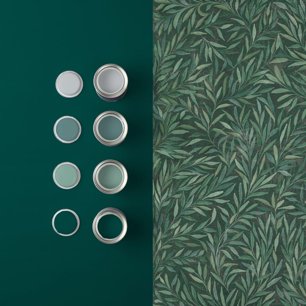 Salix Leaves Green