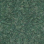Salix Leaves Green