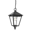 Turin 1-Light Black Chain Lantern