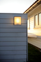 Torsten 1-Light Large Wall Light (Aluminum)