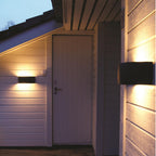 Vasa 1-Light Graphite Wall Light