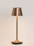 Wanderer Portable Table Lamp in Brushed Bronze