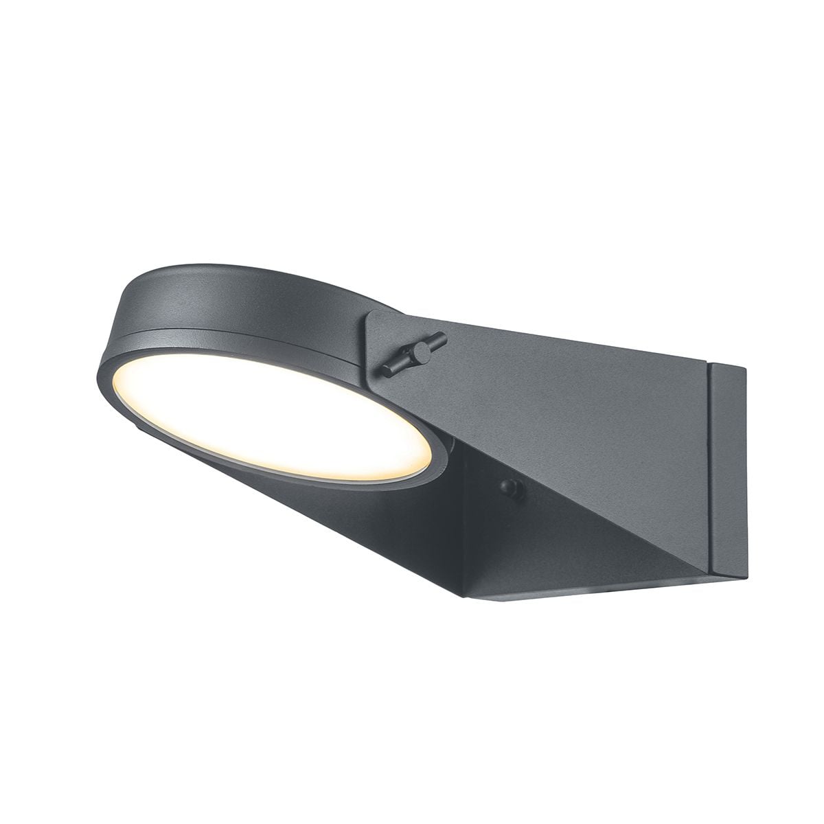 Zola LED  Wall Lantern