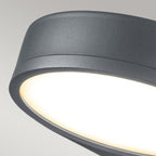 Zola LED  Wall Lantern