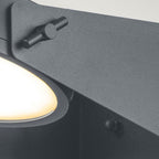 Zola LED  Wall Lantern